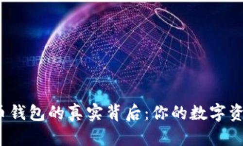 揭秘比特币钱包的真实背后：你的数字资产安全吗？
