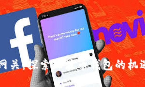 新西兰网关：探索瑞波币钱包的机遇与挑战