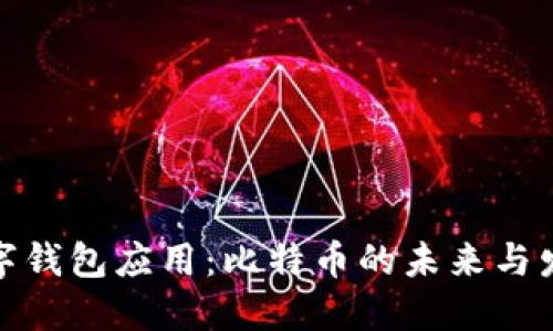 数字钱包应用：比特币的未来与发展