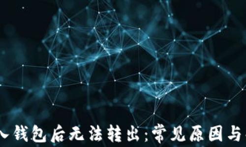 
USDT进入钱包后无法转出：常见原因与解决方案