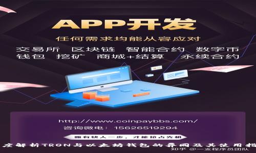 深度解析TRON与以太坊钱包的异同及其使用指南