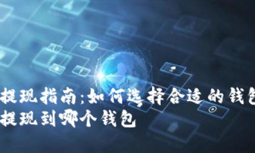 屎币提现指南：如何选择合适的钱包？  
屎币提现到哪个钱包