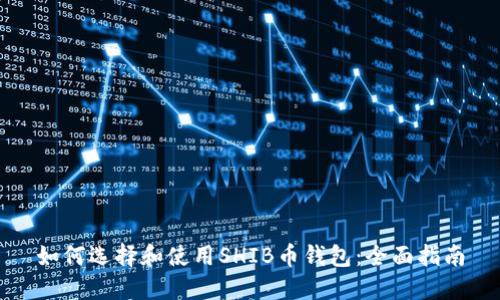 如何选择和使用SHIB币钱包：全面指南