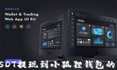 如何将USDT提现到小狐狸钱包的详细指南