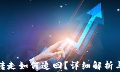 
TP钱包被转走如何追回？详细解析与应对措施