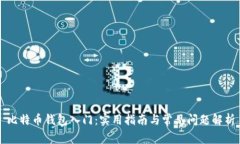 比特币钱包入门：实用指南与常见问题解析