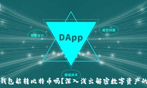   
观察钱包能转比特币吗？深入浅出解密数字资产的转移