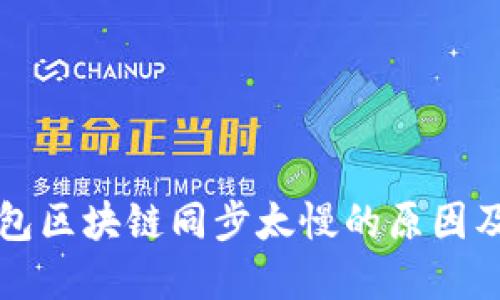 狗狗币钱包区块链同步太慢的原因及解决方案