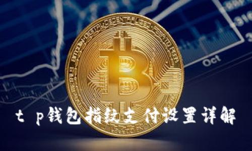 t p钱包指纹支付设置详解
