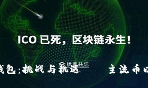  IM与TP钱包：挑战与机遇——主流币以外的未来