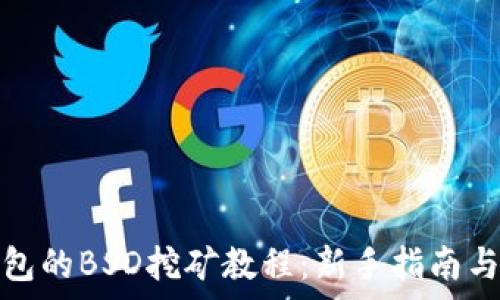   
tp钱包的BSD挖矿教程：新手指南与技巧