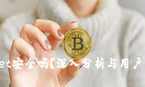 TokenPocket安全吗？深入分析与用户关注的风险