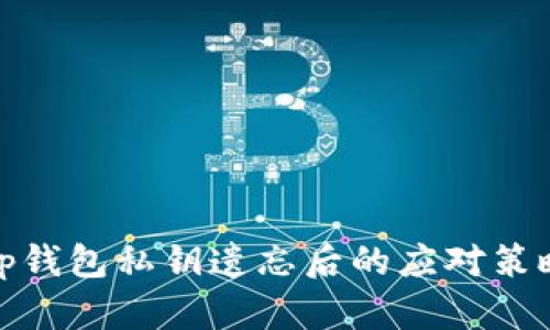 tp钱包私钥遗忘后的应对策略