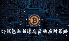 tp钱包私钥遗忘后的应对策略
