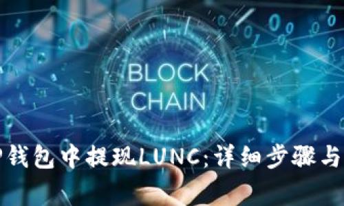 如何在TP钱包中提现LUNC：详细步骤与注意事项