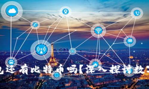 : 烤猫的钱包还有比特币吗？深入探讨数字货币的未来