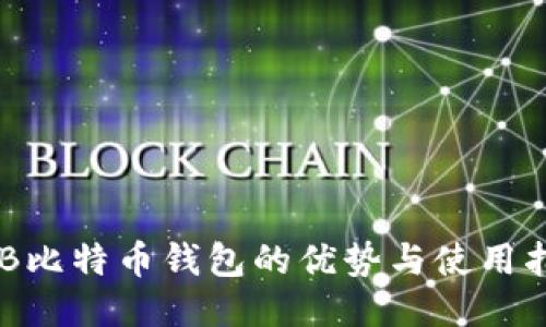 USB比特币钱包的优势与使用指南