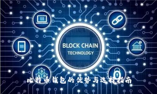 比特币钱包的优势与选择指南